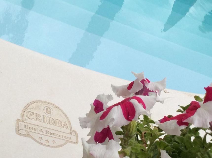 Cridda Hotel & Restaurant Gizzeria Eksteriør billede